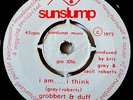 GROBBERT & DUFF VINYL 45 RARE PRIVATE PRESS Psych Mod Freakbeat Punk AM I THINK