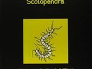 Scolopendra - Alluminogeni - LP  SIGILLATO