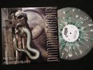 DIMMU BORGIR - World Misanthropy 12
