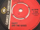 CANDY AND THE KISSES 'THE 81' CAMEO PARKWAY RARE NORTHERN SOUL 60'S MOD
