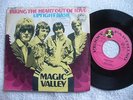 MAGIC VALLEY 
