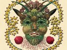 Akron/Family Self Titled 2xLP vinyl record sealed devendra banhart panda bear
