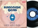 RANSOME HEAD - Sing / Wide Wide River 45 UK 1971 GLAM ROCK PROTO PUNK Dutch PS