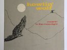 HOWLIN WOLF LP Moanin In The Moonlight MONO  ORIG Black Label Has Sheldon Stamp