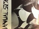 Manual Scan /Down Lights /LP vinyl record/near mint condition/San Diego legends