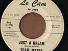 Le CAM  Texas teen doo wop 45  THE TEAM MATES - Just A Dream + Please Believe Me