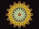 VERDENA / IONONSONOUNCANE - SPLIT - LP VINILE NUOVO 2016