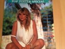 Rare Vintage Samantha Sam Fox Giant Pin Up Pop Poster Special