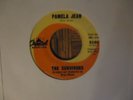 The Survivors,Beach Boys,Pamela Jean,Produced by Brian Wilson,Capitol Label 45,