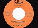 Sweet Soul 45 NOTATIONS What More Can I Say/Leading Lady CRA HEAR Rare