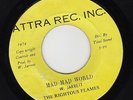 THE RIGHTOUS FLAMES - MAD MAD WORLD