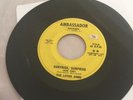 The Loved Ones Surprise Surprise Rare Garage Promo 45 On Ambassador