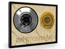 Whitesnake Is This Love (V2) Framed Silver Disc Record Vinyl (C1)
