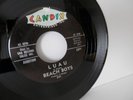 EX The Beach Boys - Surfin' b/w Luau PROMO Candix Records 301 1st Beach boys 45