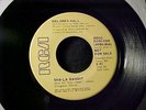 DELORES HALL Sha-La Bandit RARE SWEET MODERN SOUL DJ PROMO 45 RCA Hear