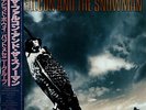 METHENY, PAT the falcon and the snowman EX/M- JAPAN EYS-91110 16-0817-023