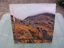 SECTION 25 - FROM THE HIP  UK LP EXCELLENT CONDITION