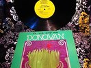 WITH JIMMY PAGE ORIG 1968 SHRINK   DONOVAN   HURDY GURDY MAN MoD Psych Folk
