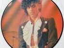 PRINCE PICTURE DISC 12