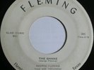 RARE ( TEXAS ROCKABILLY 45 ) 1959 ORIG - GEORGE FLEMING - THE SHAKE