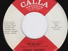 JOHNNY THUNDER I'm Alive LE BEAT BESPOKE mod dancer orig US 45 garage DON FARDON