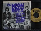 1SR SHAKE THE NEON BOYS RICHARD HELL & THE VOIDOIDS SPURTS TIME DONT DIE FICCA