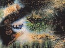 A Saucerful of Secrets