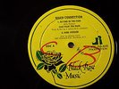 RISCO CONNECTION Sitting In The Park RARE DISCO 12