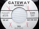 NORMAN CHARLES doowop promo 45 TRY b/w OVER AND GONE mint minus dm76