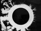 Bauhaus - The Sky's Gone Out  2LP UK first press - Live LP. BEGA 42 + BEGA 38.