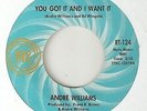ANDRE WILLIAMS You Got It And I Want It RIC TIC DETROIT  NORTHERN SOUL 45