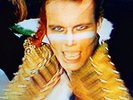 Adam and the Ants Kings of the Wild Frontier Super Deluxe Edition Box Vinyl CD