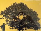 Jack Johnson In Between Dreams vinyl LP in gatefold sleeve