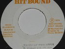 Roots Reggae - THE TALE OF TWO CITIES - CARLTON LIVINGSTON - HITBOUND ?