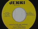 70s Soul 45 - Tony Troutman - What's The Use - Jerri - mp3