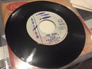 FRANTICS – THE WHIP 7” single 50s 60s rare surf rock 45 rpm Dolton