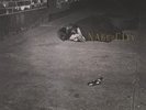 Naked City - John Zorn (2016, Vinyl NEW)