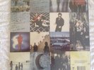 U2 Achtung Baby Coloured Vinyl. Original Release