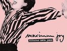 MAXIMUM JOY UNLIMITED 2 LP POP GROUP SLITS POST PUNK RAINCOATS LORA LOGIC DUB