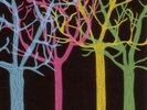 Tapes n Tapes The Loon NEAR MINT XL Recordings Vinyl LP