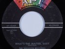 R&B Rocker/Doo Wop 45 MADISON BROTHERS What's The Matter, Baby APT HEAR