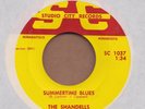 THE SHANDELLS: Summertime Blues 45 Studio City rocker hear