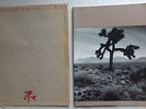 U2 PROGRAMME THE JOSHUA TREE EUROPEAN TOUR 1987 PROGRAM BOOK + ENVELOPPE