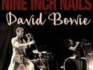 NINE INCH NAILS DAVID BOWIE 2016 ST LOUIS '92 CONCERT VOL 2 CLEAR 2 VINYL RECORD
