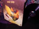 SCARCE 1969 THICK ORIG 1st RARE BIRD   HAMMOND + KEYS DARK LUSH PROG Caravan