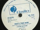 LYNYRD SKYNYRD What's Your Name  ZIMBAWBE 7