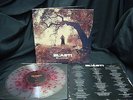 Blast Blood LP Splatter Vinyl Ltd 500 Dave Grohl Alice In Chains Nirvana NEW