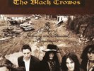 THE BLACK CROWES - THE SOUTHERN HARMONY AND MUSICAL COMPANION 2 VINYL LP NEW