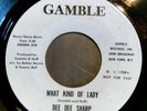 Dee Dee Sharp - What kind of lady / What kind of lady