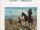 CLINT SMALL Crack in the Wall 7